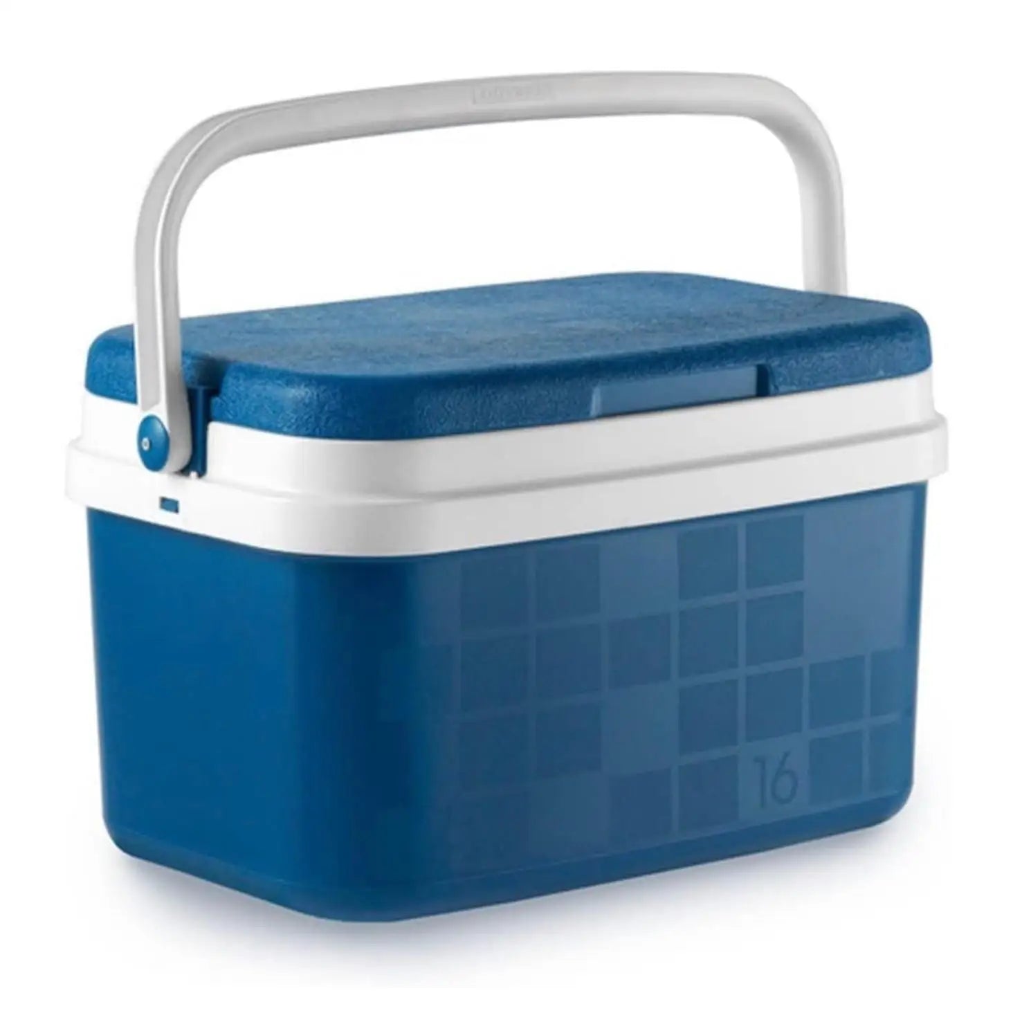Blue and White Portable Cooler for Outdoor Activities