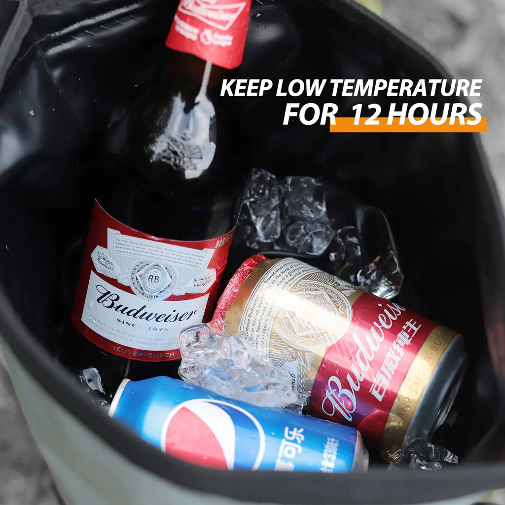 Backpack Cooler Lunch Bag