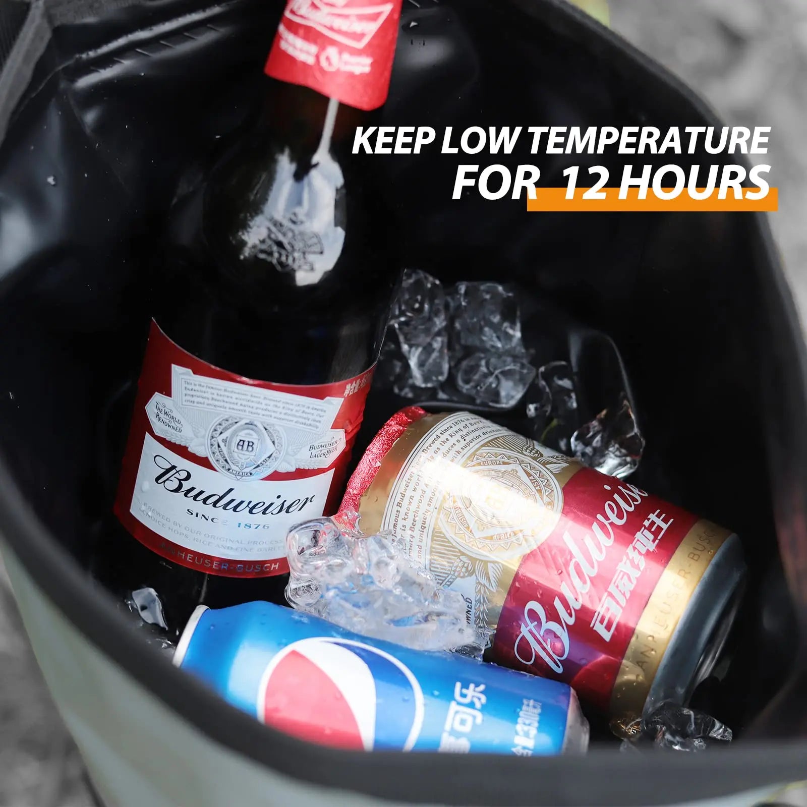 Backpack Cooler Lunch Bag