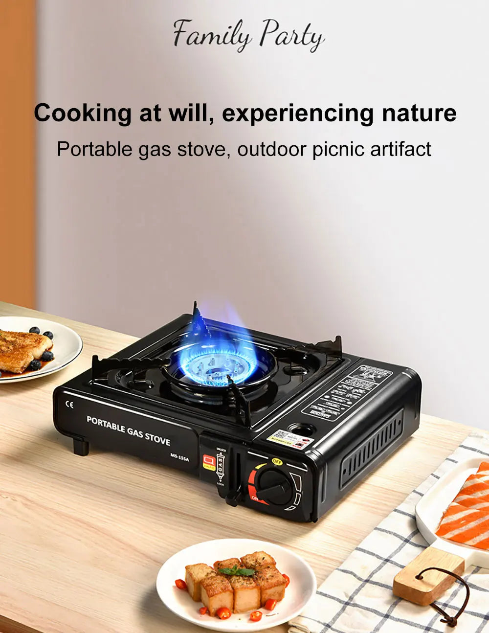 Portable Gas Stove